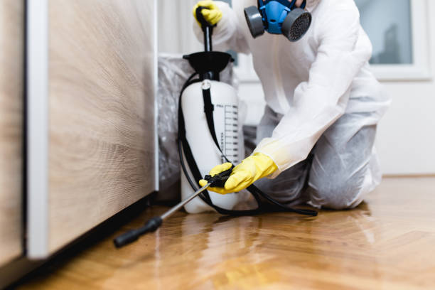 Best Affordable Pest Control Services  in Marquette Heights, IL