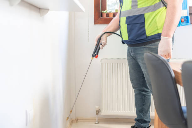 Best Ant Control Services  in Marquette Heights, IL