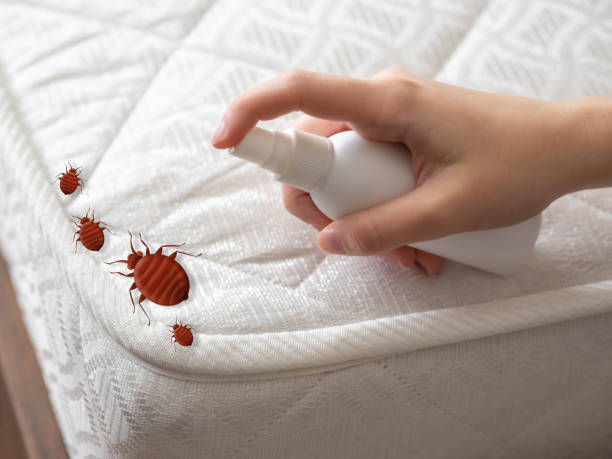 Best Pest Inspection Near Me  in Marquette Heights, IL