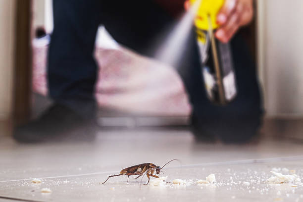Best Best Pest Control Companies  in Marquette Heights, IL