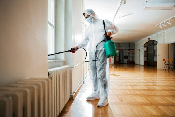 Best Exterminator Services  in Marquette Heights, IL